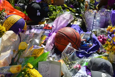 DSC_7120 (Large).JPG